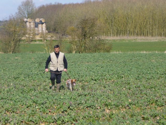 Du Mistral De Thau - Saison des Field Trials de printemps 2016