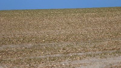 Du Mistral De Thau - entraînement de printemps